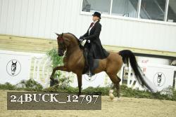 24BUCK_12797 proof