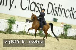24BUCK_12804 proof
