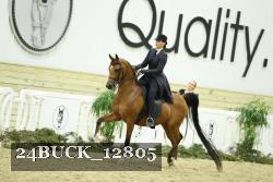 24BUCK_12805 proof