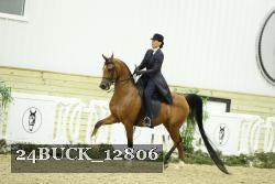 24BUCK_12806 proof