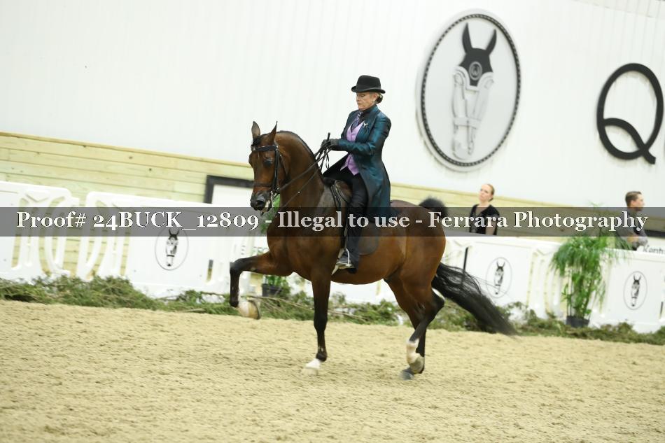 Proof 24BUCK_12809