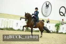 24BUCK_12809 proof