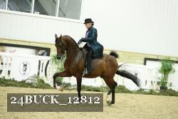 24BUCK_12812 proof