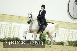 24BUCK_12813 proof