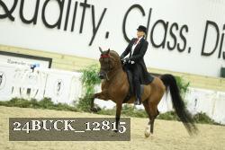 24BUCK_12815 proof