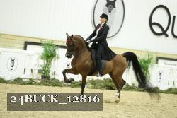 24BUCK_12816 proof