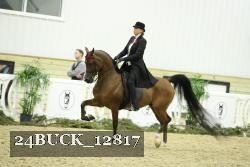 24BUCK_12817 proof