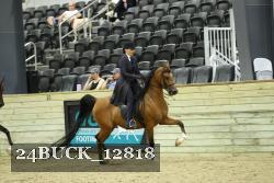 24BUCK_12818 proof