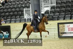 24BUCK_12819 proof