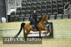 24BUCK_12820 proof