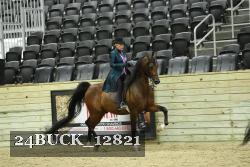 24BUCK_12821 proof