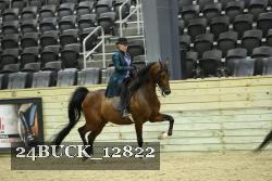 24BUCK_12822 proof