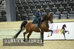 24BUCK_12823 proof