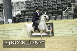 24BUCK_12827 proof