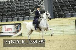24BUCK_12828 proof