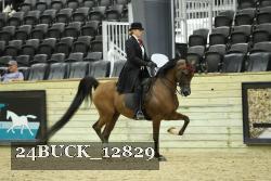 24BUCK_12829 proof
