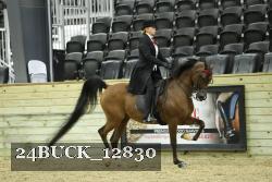 24BUCK_12830 proof