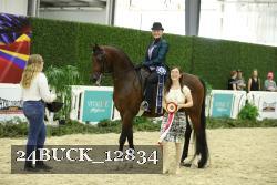 24BUCK_12834 proof