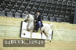 24BUCK_12849 proof