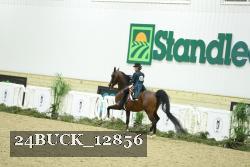 24BUCK_12856 proof