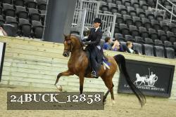 24BUCK_12858 proof