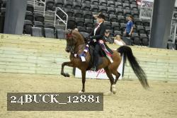 24BUCK_12881 proof