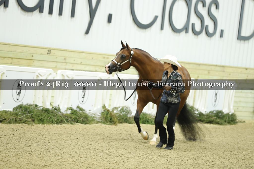 Proof 24R13_00001