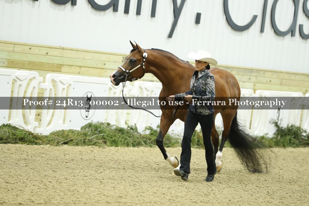 Proof 24R13_00002