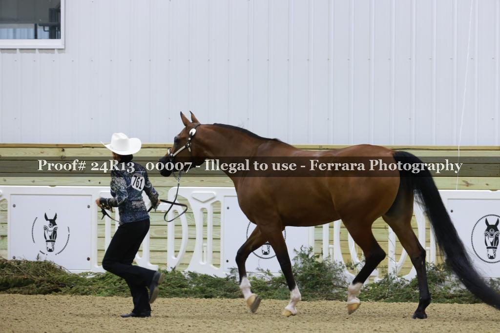 Proof 24R13_00007