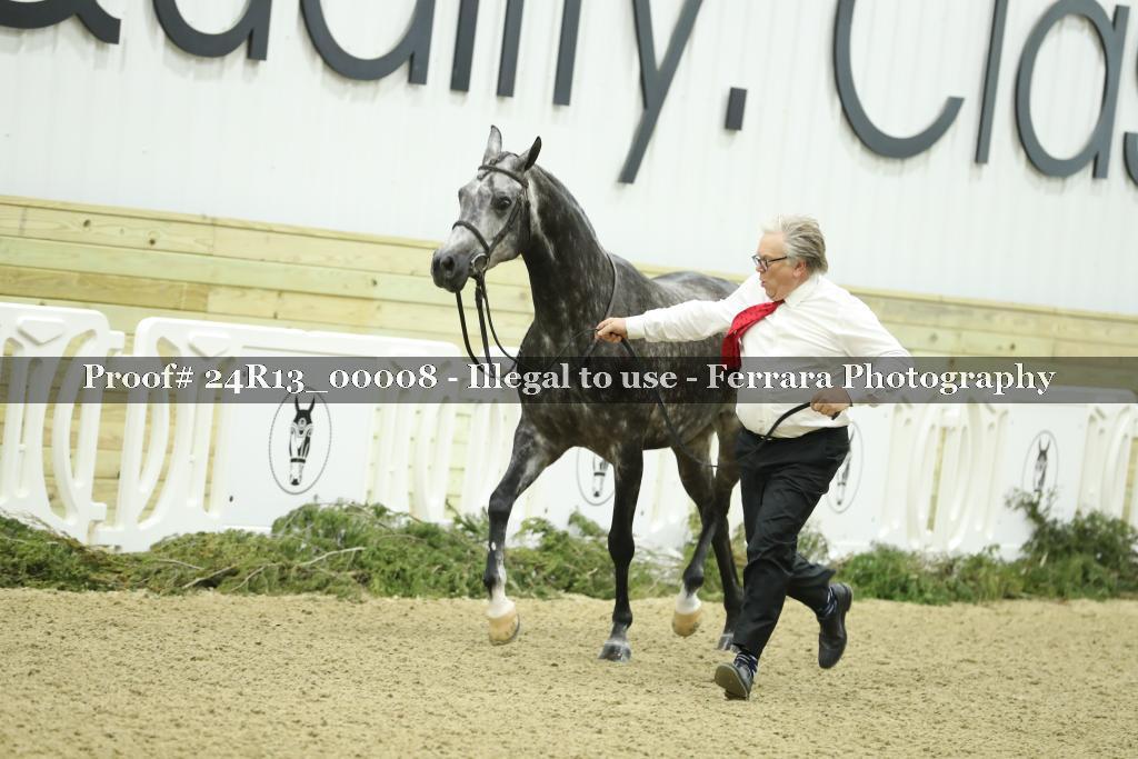 Proof 24R13_00008