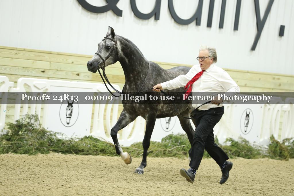 Proof 24R13_00009