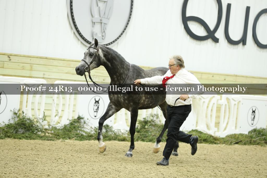 Proof 24R13_00010