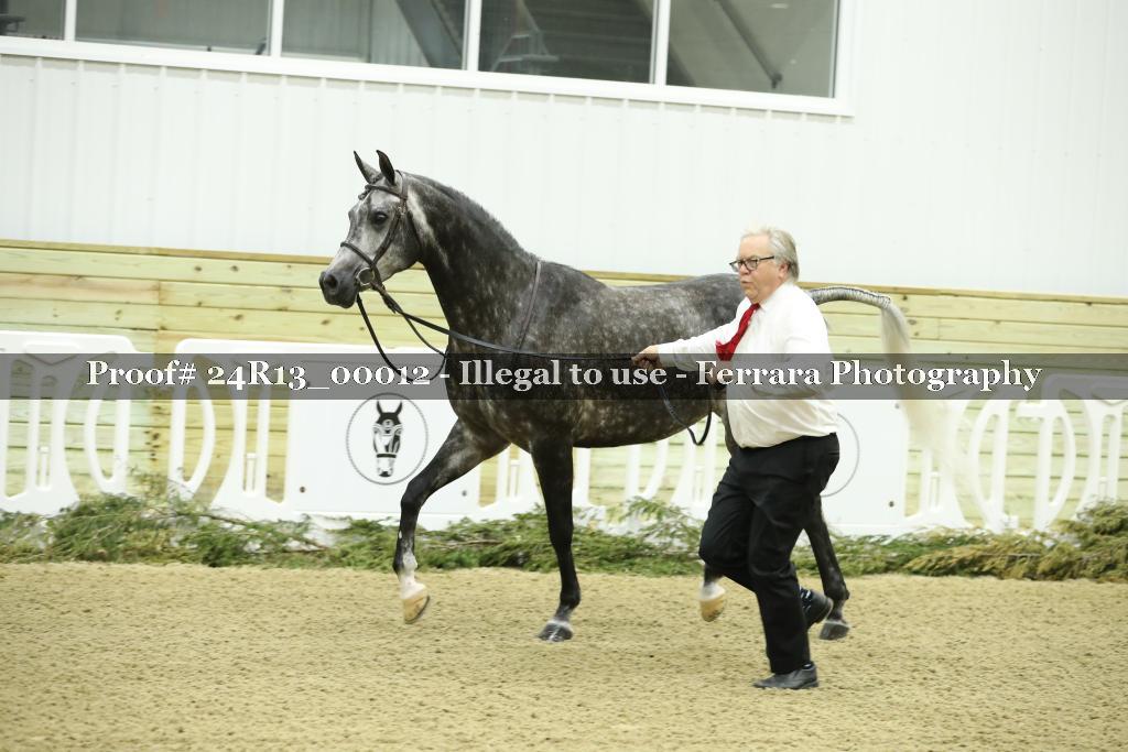 Proof 24R13_00012