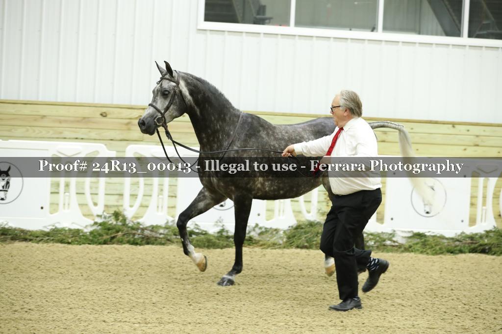 Proof 24R13_00013