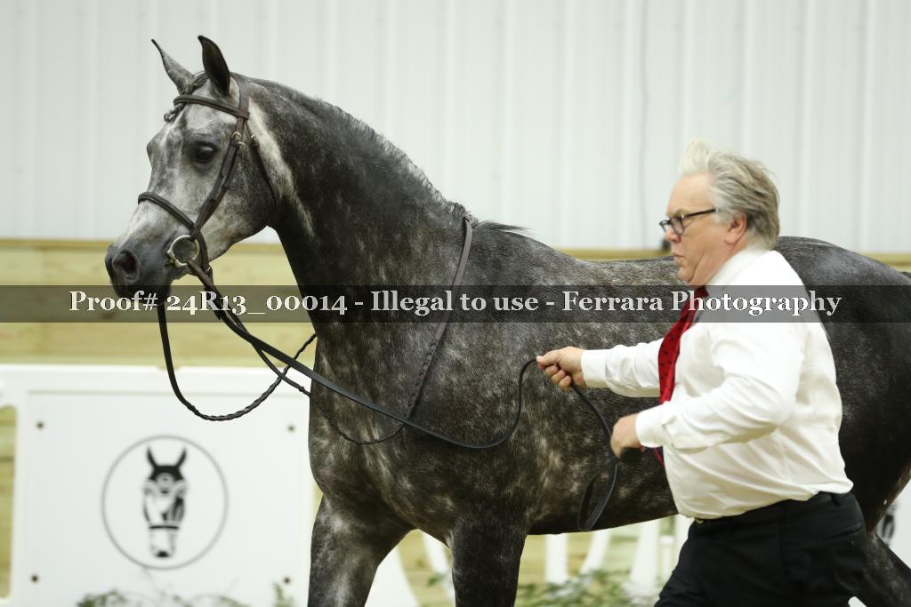 Proof 24R13_00014