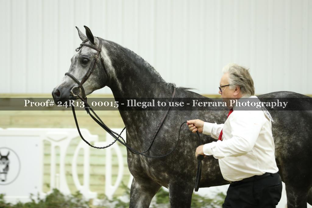 Proof 24R13_00015