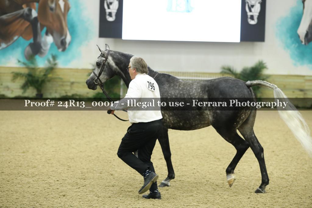 Proof 24R13_00017