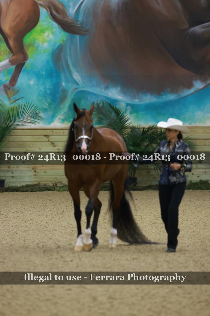 Proof 24R13_00018