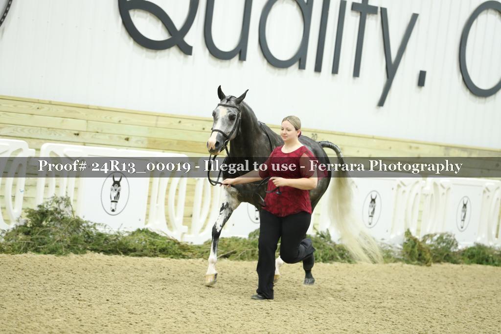 Proof 24R13_00019