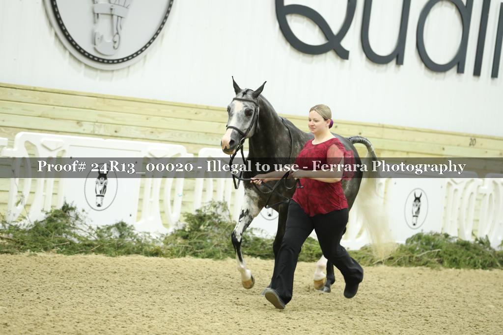 Proof 24R13_00020