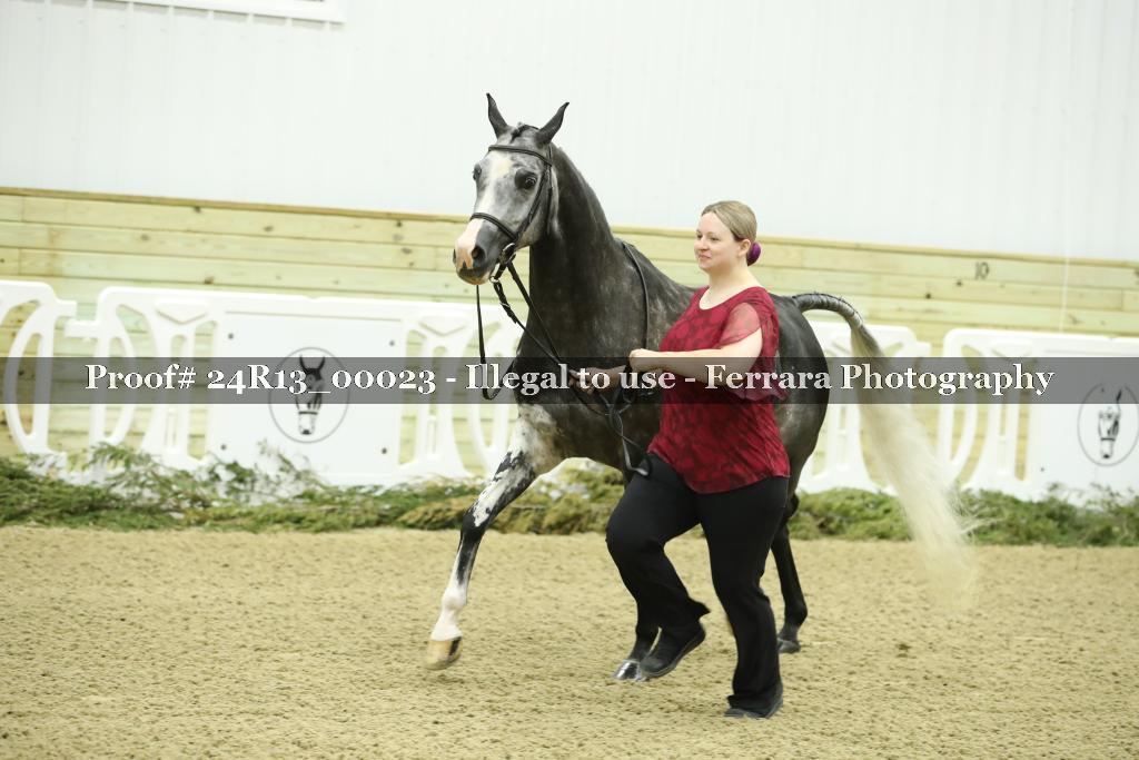Proof 24R13_00023