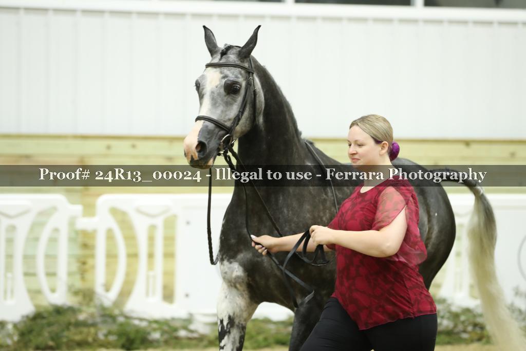 Proof 24R13_00024