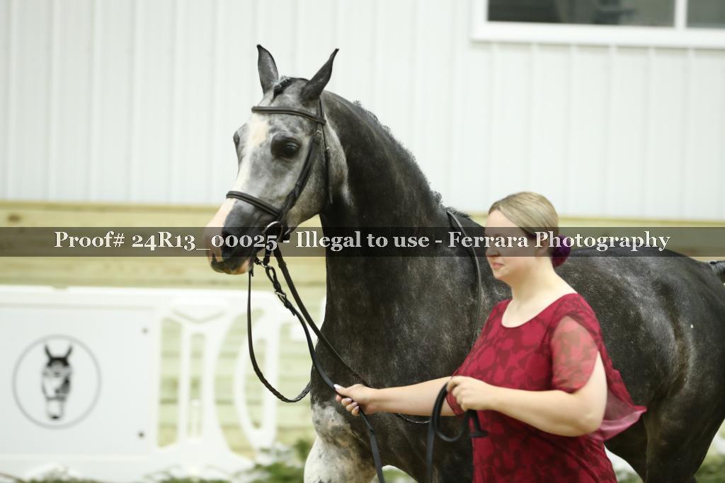 Proof 24R13_00025