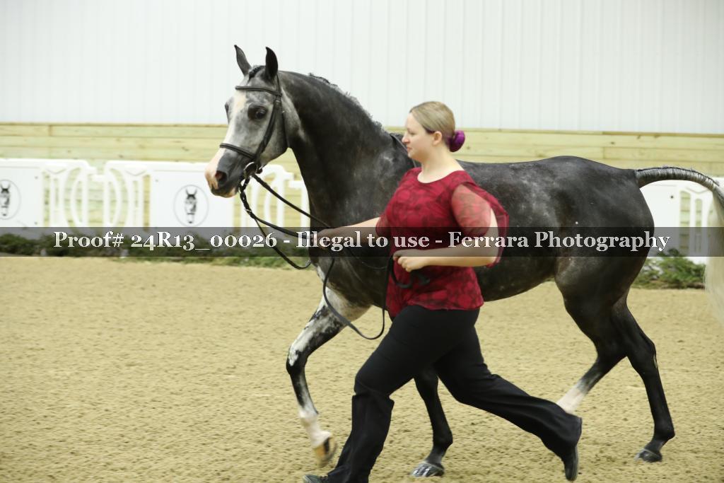 Proof 24R13_00026