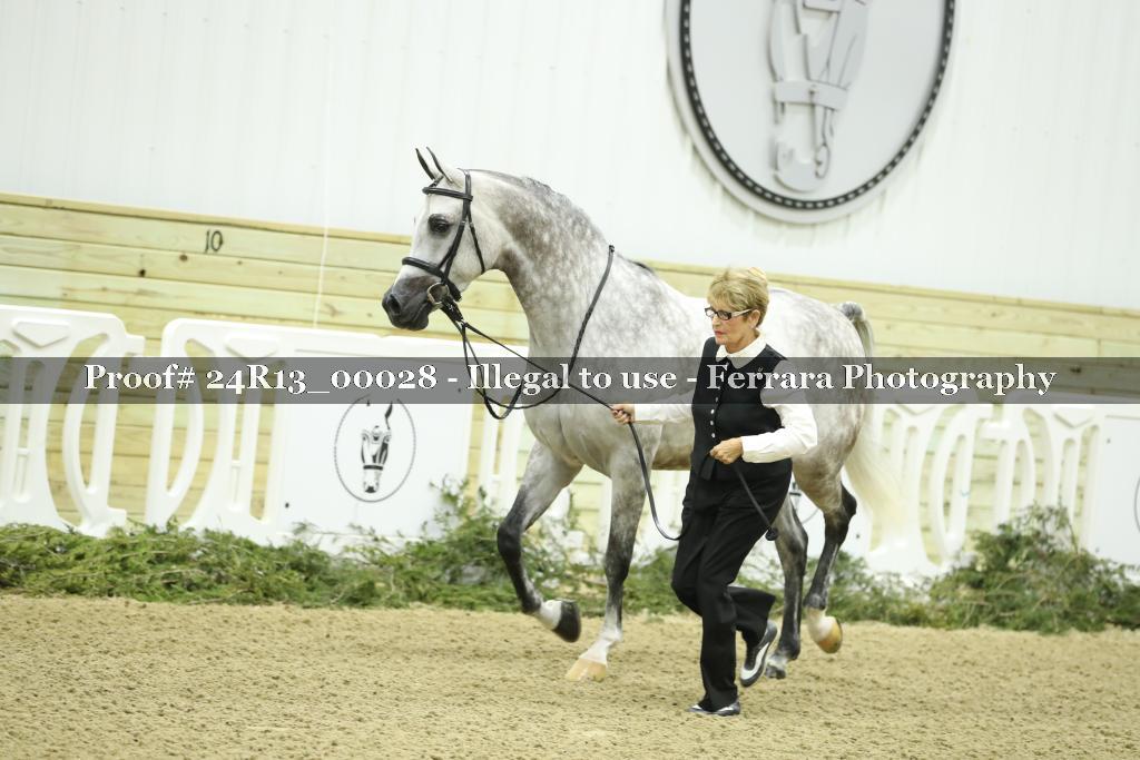 Proof 24R13_00028