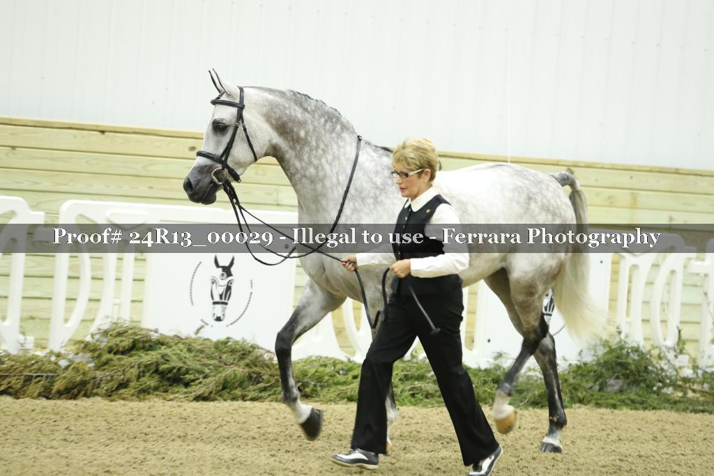 Proof 24R13_00029