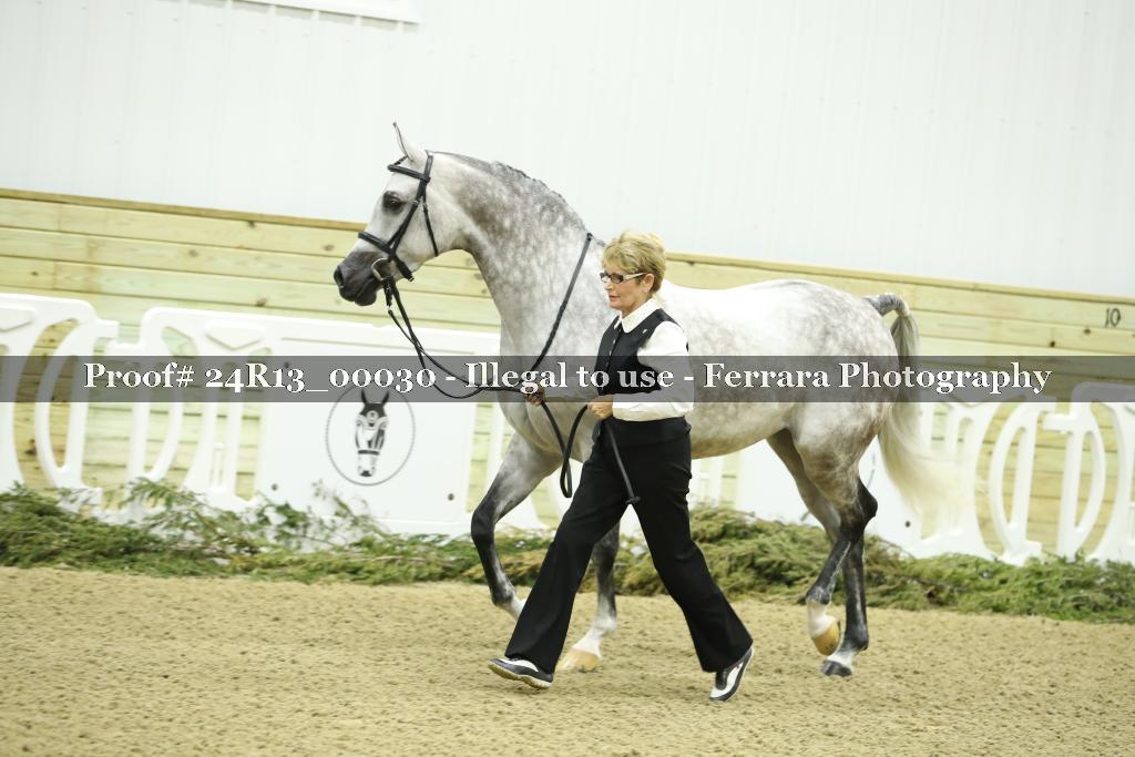 Proof 24R13_00030