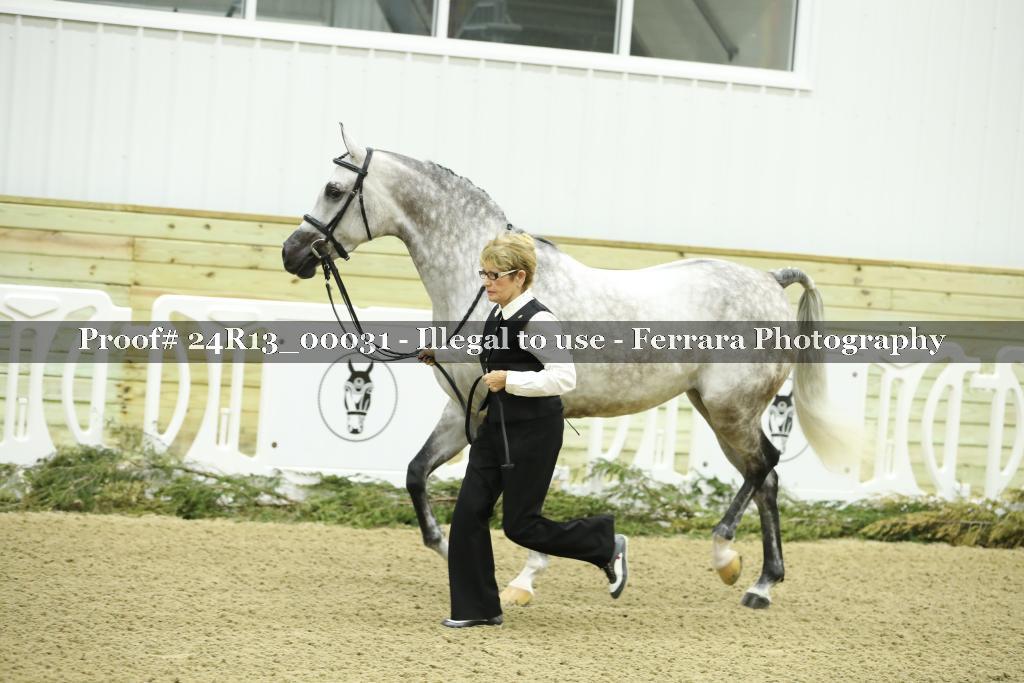 Proof 24R13_00031