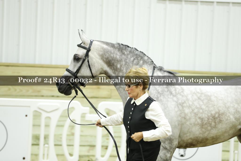 Proof 24R13_00032