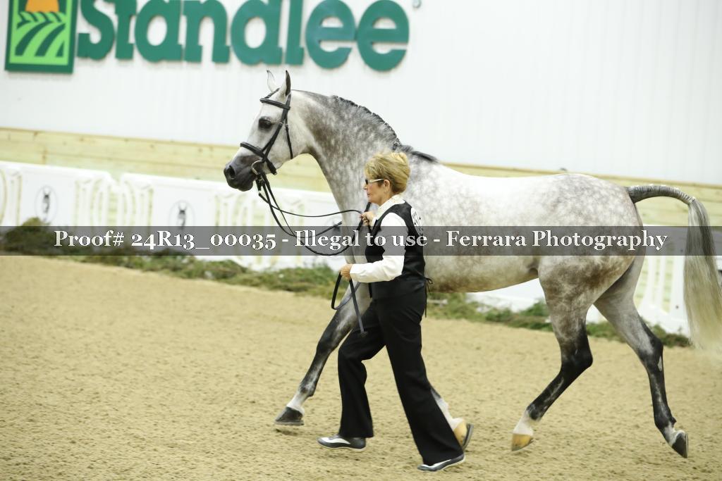 Proof 24R13_00035